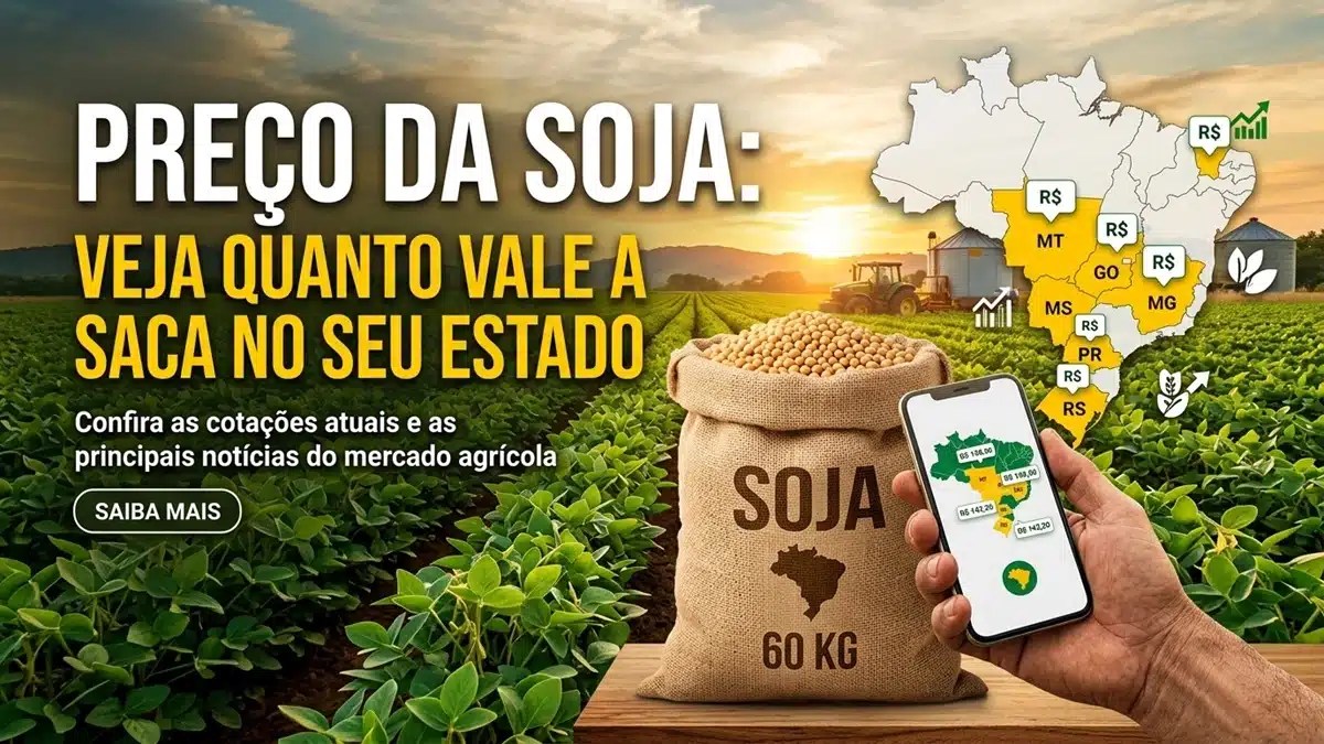 Mercado da Soja: Cotações para Venda Imediata Atualizadas em Nove Estados Produtores