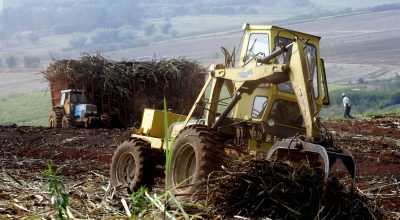 Trator coleta cana - 8/09/2005 (Foto: REUTERS/Paulo Whitaker)