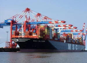 MSC_OLIVER_1673_batcheditor_fotor-1536x1024