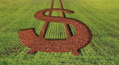 Compre Rural Conteúdo