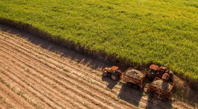 acucar-india-commodities-cana-de-acucar