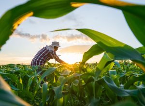 © attasit_saentep/ Adobe Stock