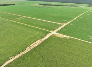 brasilagro-agro3