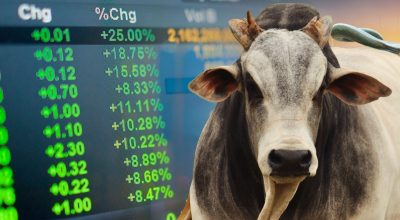 bull-market-touro-nelore-bolsa-de-valores-arroba-do-boi-gordo-1