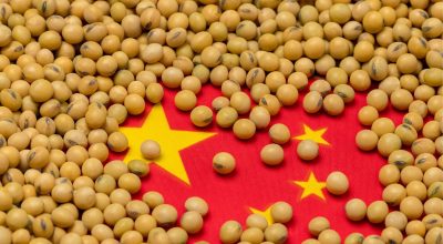 china-soja-kbBEg