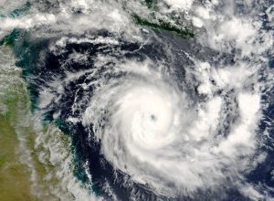 Compre Rural Notícias