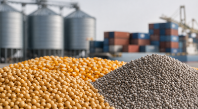 Just a moment...