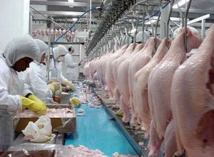exportacao-frango