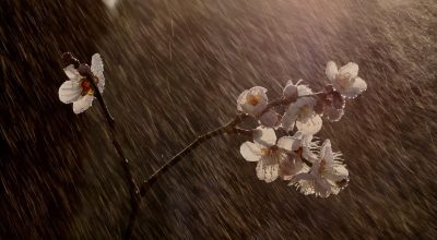 frente-fria-primavera-temporais-2