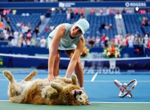 iga_toronto_trofeu_dog