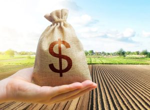 Compre Rural Conteúdo