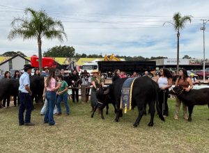 Compre Rural Conteúdo