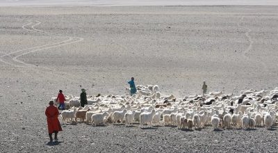 mongolia