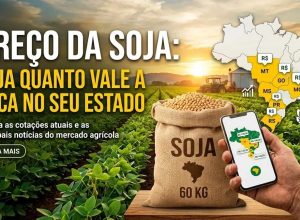 soja-2-1