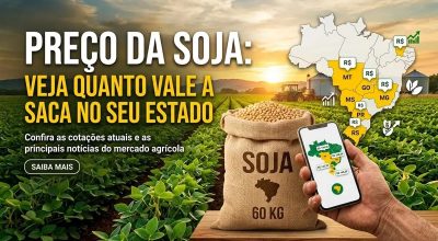 soja-2-1