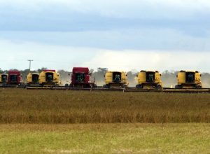 Colheita de soja em Mato Grosso.  • CNN