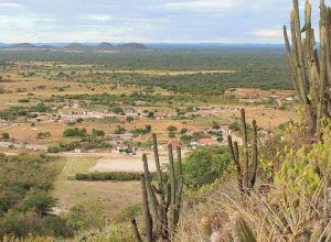 uEvjxb1k-caatinga-foto-coopercuc