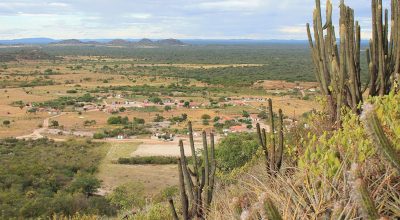 uEvjxb1k-caatinga-foto-coopercuc